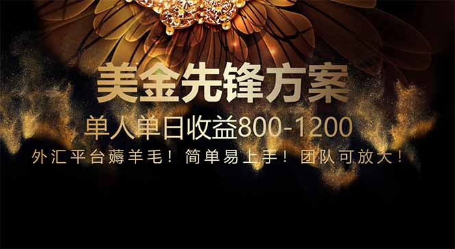 免费技术！小众赛道！一年布局抵三年努力，每日800+-shxbox省心宝盒