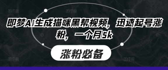 即梦AI生成猫咪黑帮视频，迅速起号涨粉，一个月5k-shxbox省心宝盒