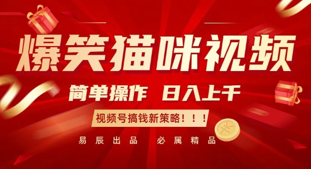 爆笑猫咪视频：简单操作，日入过K，视频号搞钱新策略【揭秘】-shxbox省心宝盒