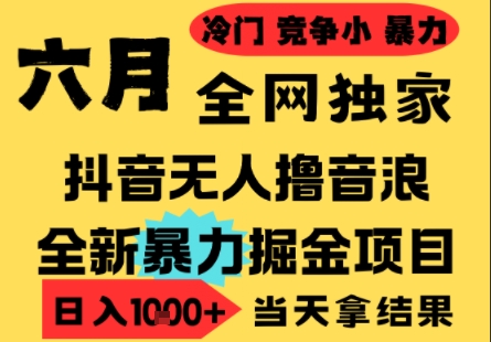 25年6月高爆抖音无人直播最新撸音浪掘金项目，小白可做，无脑日入1k+，门槛低可批量矩阵【揭秘】-shxbox省心宝盒