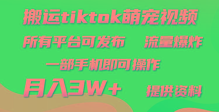 (9618期)搬运Tiktok萌宠类视频，一部手机即可。所有短视频平台均可操作，月入3W+-shxbox省心宝盒