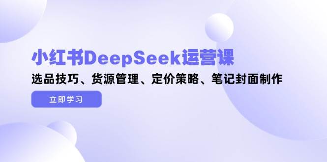 小红书DeepSeek运营课，选品技巧、货源管理、定价策略、笔记封面制作-shxbox省心宝盒