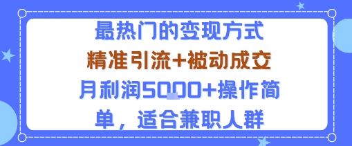 小众赛道玩法：当下最热门的变现方式，精准引流+被动成交月利润5k+操作简单，适合兼职人群-shxbox省心宝盒