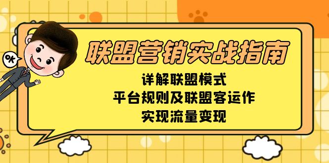 联盟营销实战指南，详解联盟模式、平台规则及联盟客运作，实现流量变现-shxbox省心宝盒