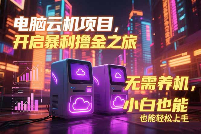 电脑云机项目 暴力撸金玩法，不需要养机 配置没有要求 单机100个窗口一...-shxbox省心宝盒