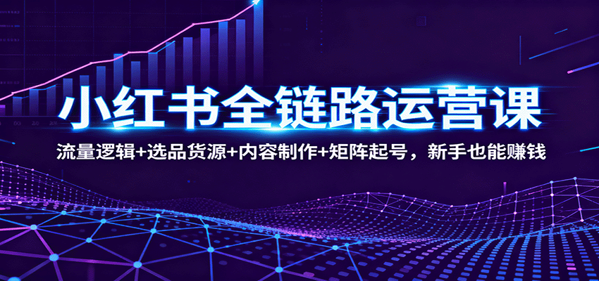 小红书全链路运营课：流量逻辑+选品货源+内容制作+矩阵起号，新手也能赚钱-shxbox省心宝盒