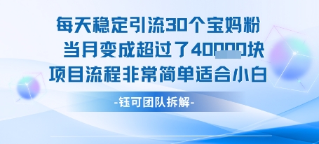 每天稳定引流30个人 当月变成超过了4个W项目流程非常简单适合小白-shxbox省心宝盒