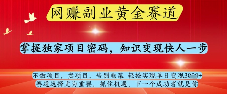 网创副业黄全赛道，掌握独家项目密码，知识变现快人一步，告别韭菜轻松实现单日变现1k+【揭秘】-shxbox省心宝盒
