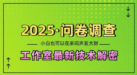 2025问卷调查最新工作室技术解密：一个人在家也可以闷声发大财，小白一天2张，可矩阵放大【揭秘】-shxbox省心宝盒
