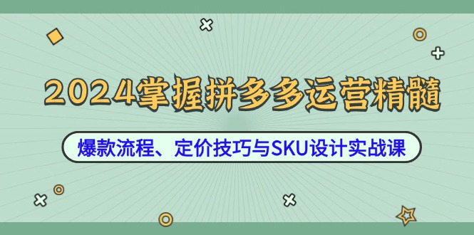 2024掌握拼多多运营精髓:爆款流程、定价技巧与SKU设计实战课-shxbox省心宝盒