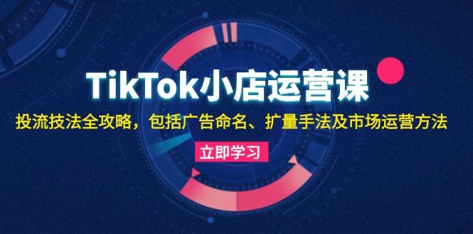 TikTok小店运营课：投流技法全攻略，包括广告命名 扩量手法及市场运营方法-shxbox省心宝盒