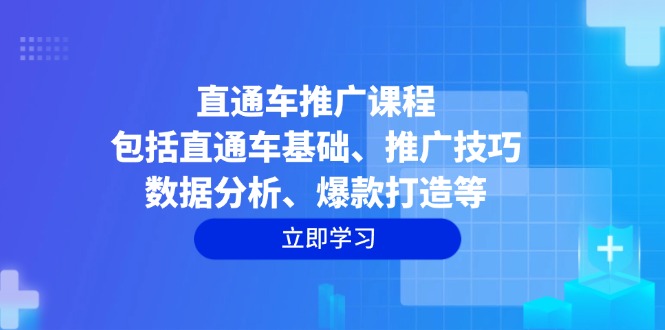 直通车推广课程：包括直通车基础、推广技巧、数据分析、爆款打造等-shxbox省心宝盒
