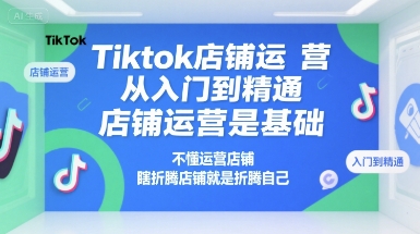 Tiktok店铺运营从入门到精通,店铺运营是基础,不懂运营店铺,瞎折腾店铺就是折腾自己-shxbox省心宝盒