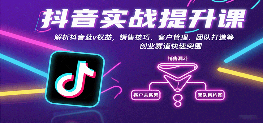 抖音实战提升课：解析抖音蓝v权益，销售技巧、客户管理、团队打造等创业赛道快速突围-shxbox省心宝盒