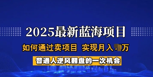 2025蓝海项目,普通人如何通过卖项目,实现月入过W,全过程【揭秘】-shxbox省心宝盒