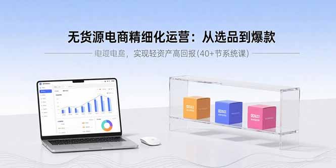 无货源电商精细化运营：从选品到爆款，实现轻资产高回报(40+节系统课-shxbox省心宝盒