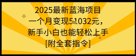 2025最新蓝海项目一个月变现1w+新手小白也能轻松上手【附全套指令】-shxbox省心宝盒