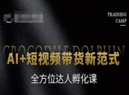 AI+短视频带货新范式，全方位达人孵化课-shxbox省心宝盒