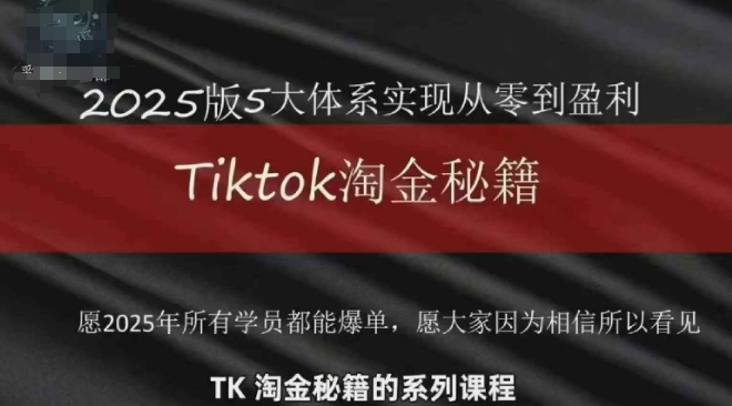 TikTok跨境2025淘金秘籍，​2025TikTok从0到盈利变现-shxbox省心宝盒
