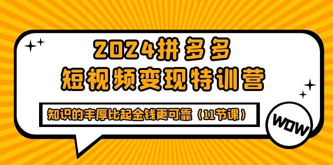 (9817期)2024拼多多短视频变现特训营，知识的丰厚比起金钱更可靠(11节课)-shxbox省心宝盒