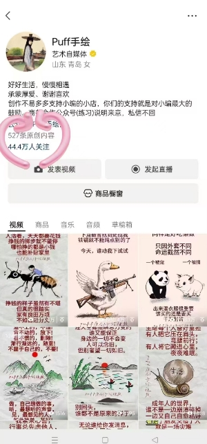 Puff手绘视频号分成项目，三天过分成计划，简单易上手，适合新手-shxbox省心宝盒