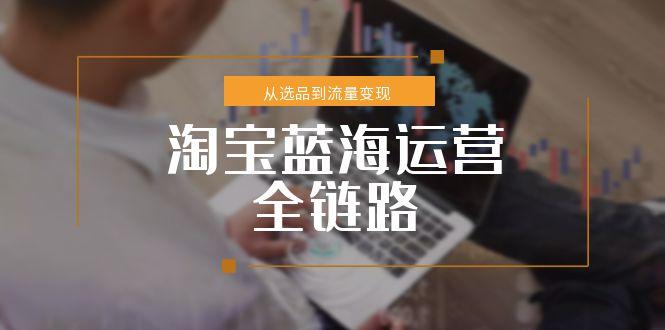 淘宝蓝海运营全链路，从选品到流量变现，小类目突围完整方案-shxbox省心宝盒