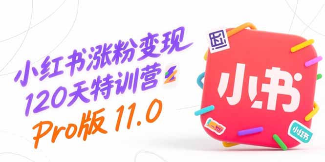 小红书涨粉变现120天特训营Pro版11.0：从0到1掌握平台运营,内容制作和变现-shxbox省心宝盒