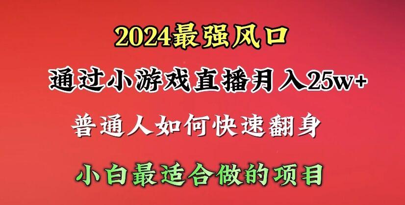 (10020期)2024年最强风口，通过小游戏直播月入25w+单日收益5000+小白最适合做的项目-shxbox省心宝盒
