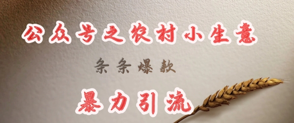 deepseek写农村小项目，条条爆款，暴力引流-shxbox省心宝盒