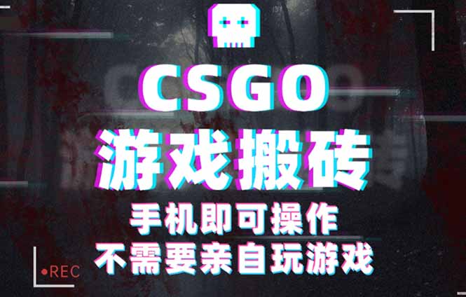 CSGO游戏挂机捡漏，单日扫货500+，年底小高峰上车可吃肉，手机即可操作...-shxbox省心宝盒