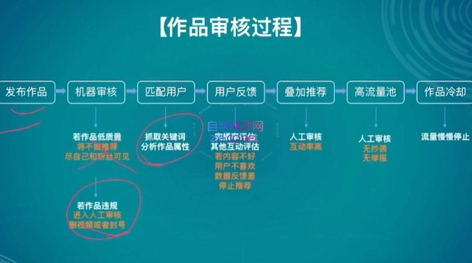 伊伊·红薯【高级班】运营课-shxbox省心宝盒