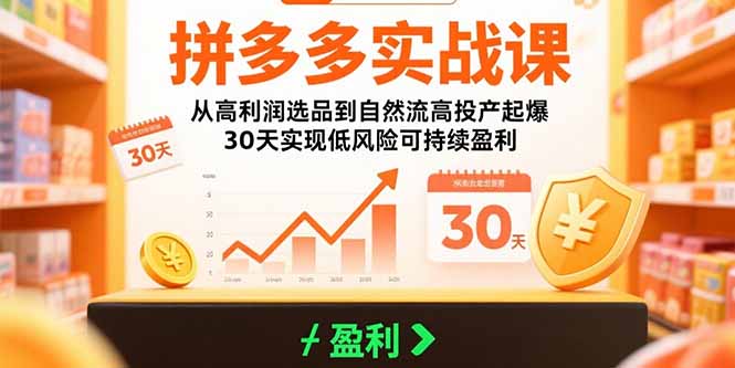 拼多多实战课:从高利润选品到自然流高投产起爆 30天实现低风险可持续盈利-shxbox省心宝盒