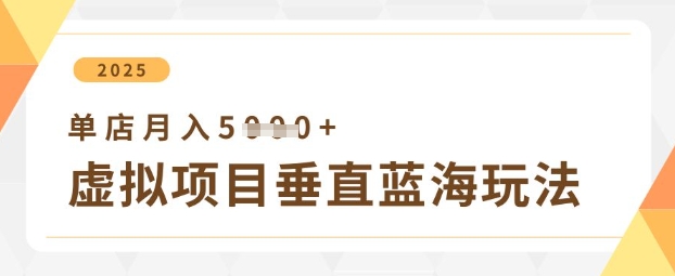 虚拟项目垂直玩法，实现单店月入5k+-shxbox省心宝盒