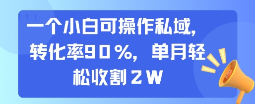 一个小白可操作私域，转化率90%，单月轻松收割2W-shxbox省心宝盒