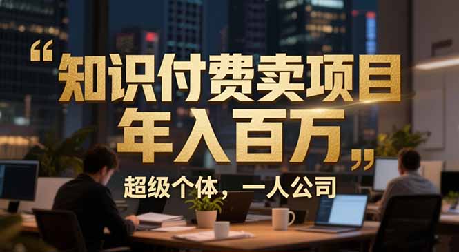 从0到年入百万：超级个体实战心得公开，个人IP×精准引流×成交系统全拆解-shxbox省心宝盒