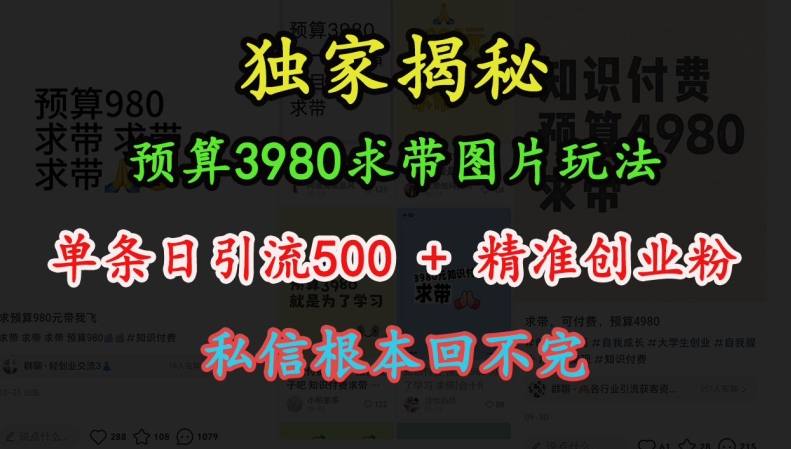 预算3980求带 图片玩法，单条日引流500+精准创业粉，私信根本回不完-shxbox省心宝盒