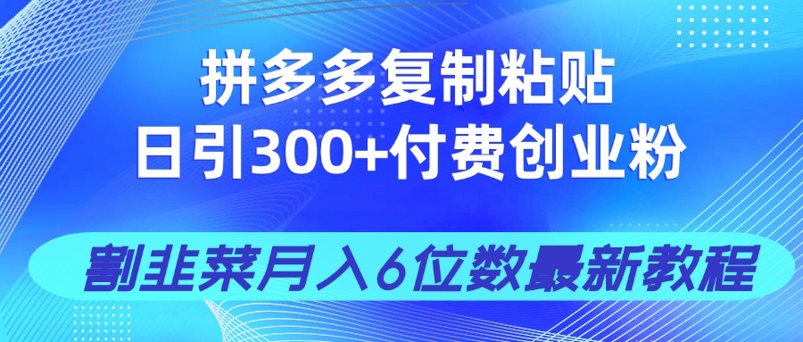 拼多多复制粘贴日引300+付费创业粉,割韭菜月入6位数最新教程!-shxbox省心宝盒