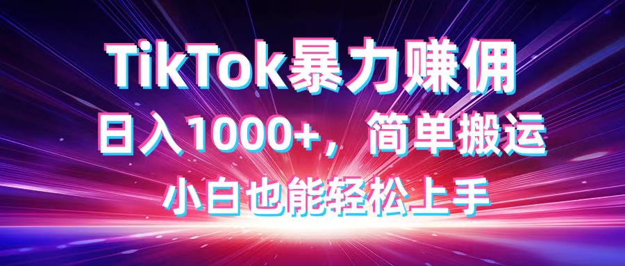 TikTok搬运暴力赚佣，日入1000+，简单搬运，小白也能轻松上手-shxbox省心宝盒