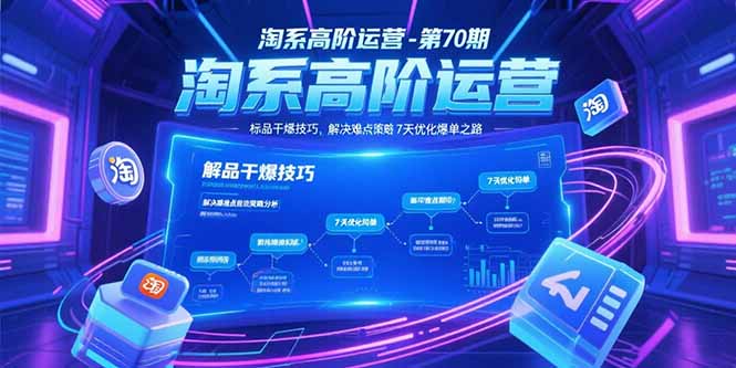 淘系高阶运营-第70期，标品干爆技巧，解决难点策略，大佬操盘方法-shxbox省心宝盒