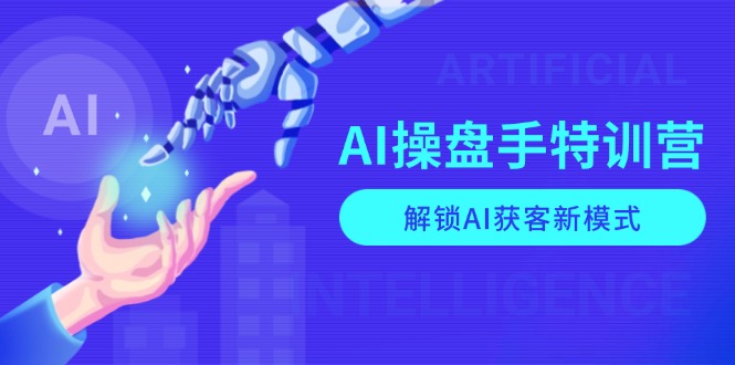AI-操盘手特训营，解锁AI获客新模式，全面掌握AI商业应用与提示词技巧-shxbox省心宝盒