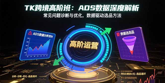 TK跨境高阶班：ADS数据深度解析，常见问题诊断与优化，数据驱动选品方法-shxbox省心宝盒
