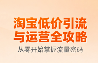 淘宝低价引流与运营全攻略(更新9月)-shxbox省心宝盒