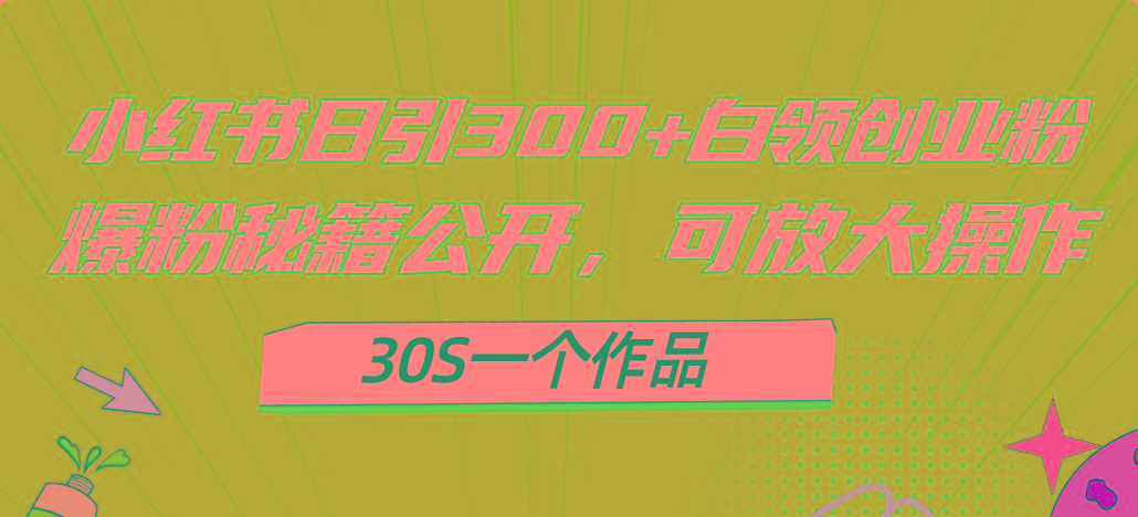 小红书日引300+高质白领创业粉，可放大操作，爆粉秘籍！30s一个作品-shxbox省心宝盒