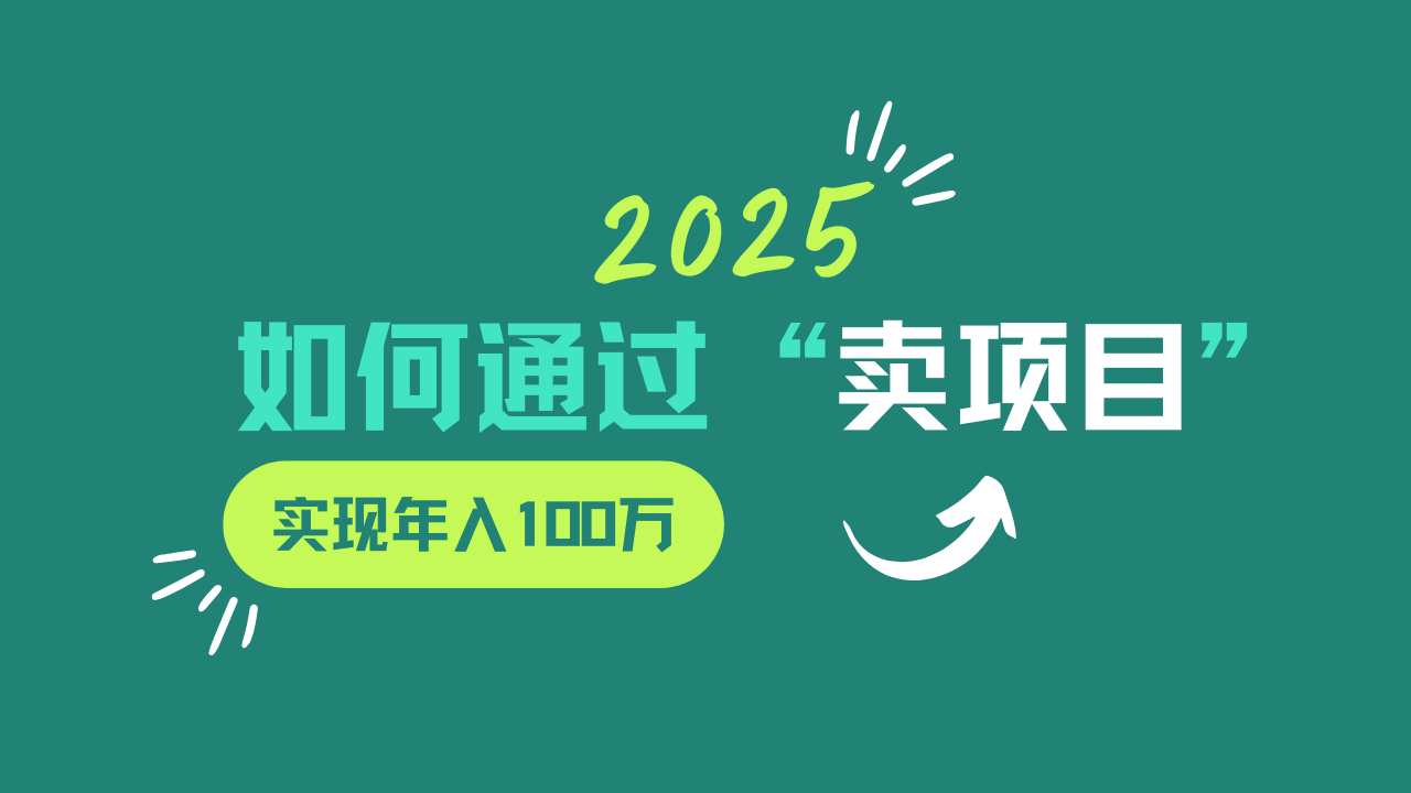 2025年如何通过“卖项目”实现年入100w-shxbox省心宝盒