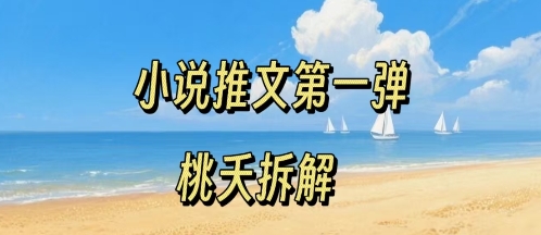 小说推文项目操作全流程第一弹，0粉就能做，门槛低非常适合新手-shxbox省心宝盒