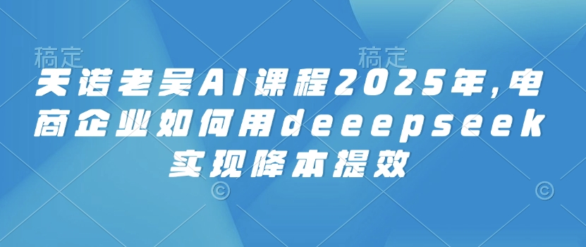天诺老吴AI课程2025年，电商企业如何用deeepseek实现降本提效-shxbox省心宝盒