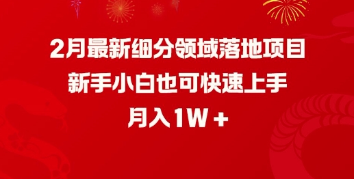 2月最新细分领域落地项目,新手小白也可快速上手,月入1W-shxbox省心宝盒