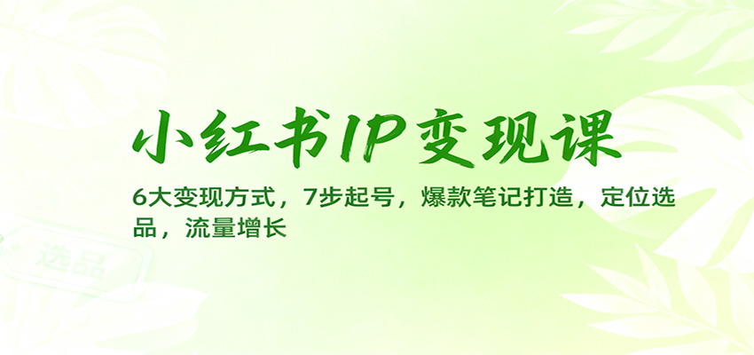 小红书IP变现课：6大变现方式，7步起号，爆款笔记打造，定位选品，流量增长-shxbox省心宝盒