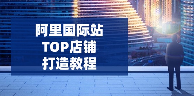 阿里国际站TOP店铺打造教程：涵盖平台到高阶，解决运营难题，提升询盘-shxbox省心宝盒