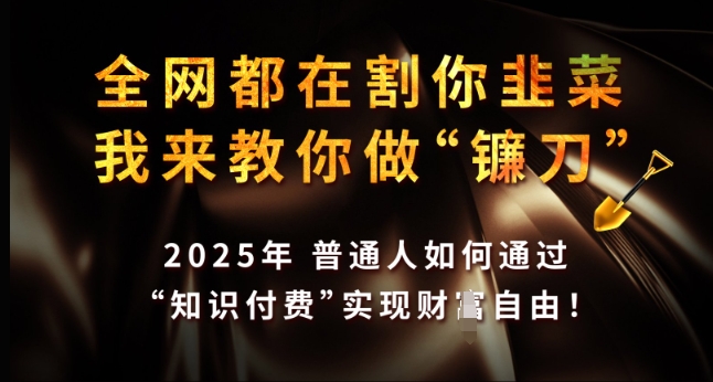 全网都在割你韭菜，我来教你做镰刀，2025年普通人如何通过 知识付费 实现财F自由【揭秘】-shxbox省心宝盒